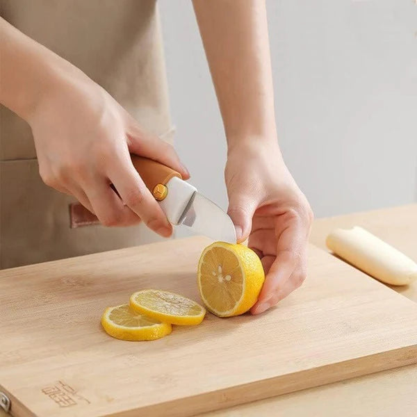 2-in-1 Multifunctional Peeler & Knife – Stainless Steel Fruit & Vegetable Peeler, Dual-Use Portable Kitchen Tool for Home & Outdoor Use