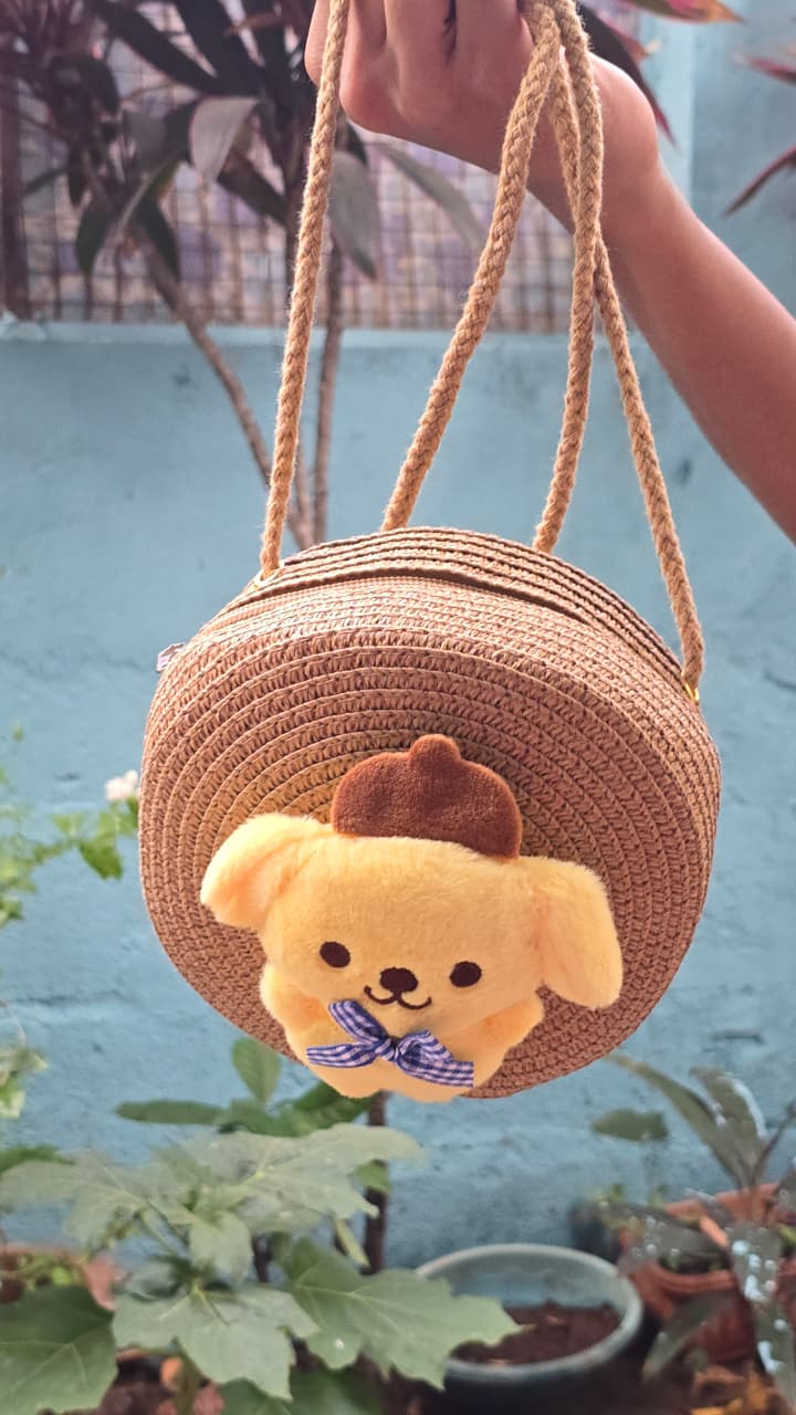 Sling Bags (Random Colour) (Copy)